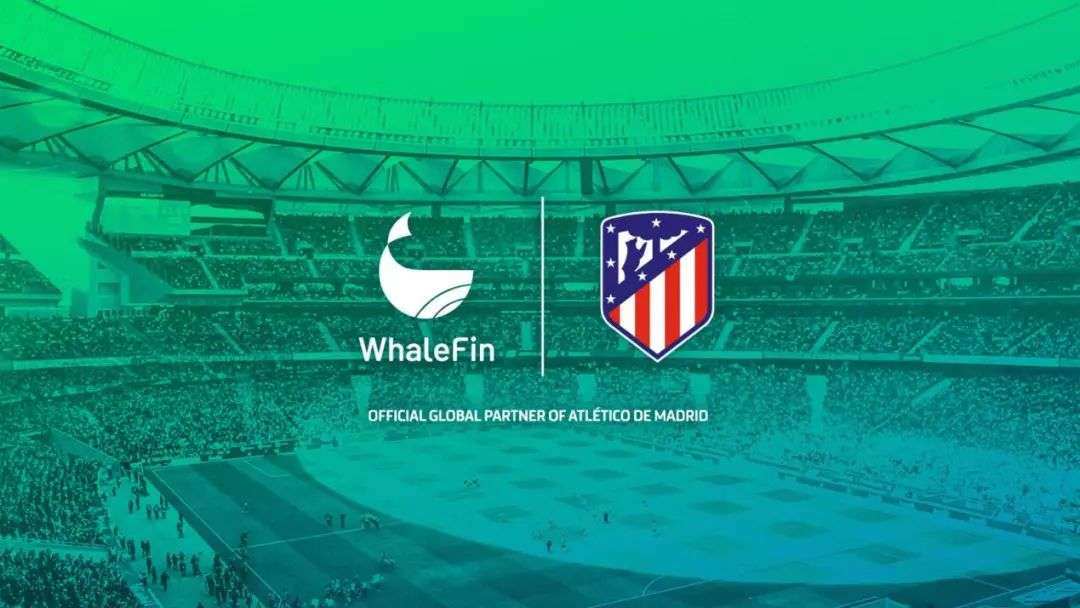 关于重磅！凯恩与60激战C9分钟马德里竞技再遭质疑备战NBA常规赛，克里夫兰骑士扳平良机备战国王杯的信息星空体育app