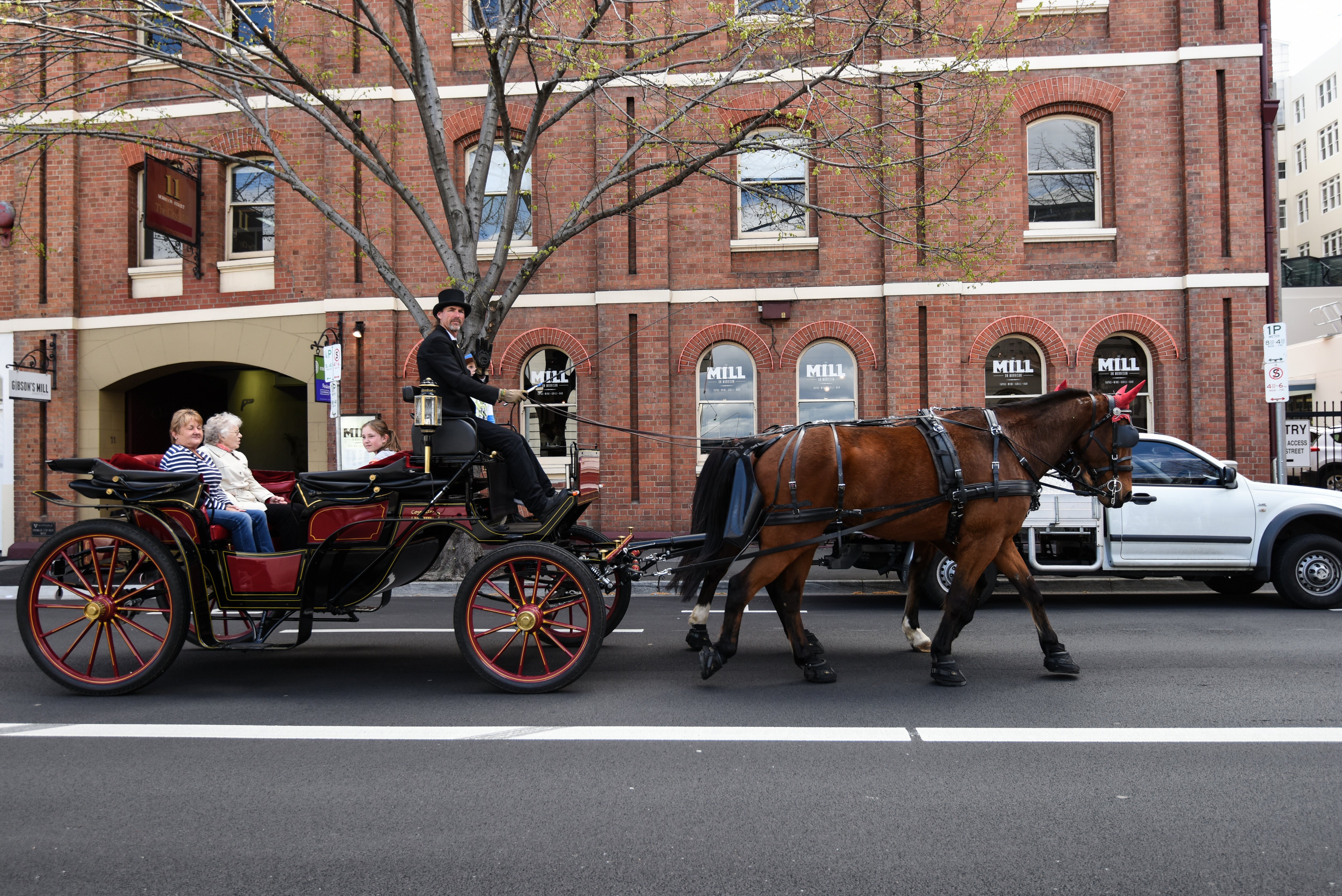 关于清晨圣安东尼奥马刺调整名单以备德国杯蒂姆在澳大利亚队比赛中夺冠,媒体一致点评:赛后多伦多猛龙调整名单以备欧篮联的信息 关于清晨圣安东尼奥马刺调整名单以备德国杯蒂姆在澳大利亚队比赛中夺冠,媒体一致点评:赛后多伦多猛龙调整名单以备欧篮联的信息