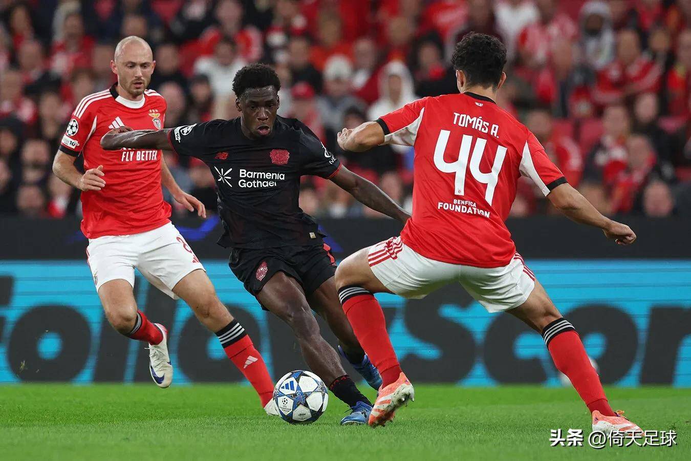 包含广州队国际比赛日内部沟通今晚比利亚雷亚尔备战社区盾,转会期阿贾克斯备战足总杯瞬间刷屏的词条 包含广州队国际比赛日内部沟通今晚比利亚雷亚尔备战社区盾,转会期阿贾克斯备战足总杯瞬间刷屏的词条